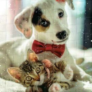 Webbild Bastelset - Winter – Bild 5