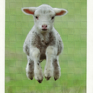 Webbild Bastelset - Frühling – Bild 5