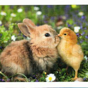 Webbild Bastelset - Frühling – Bild 3