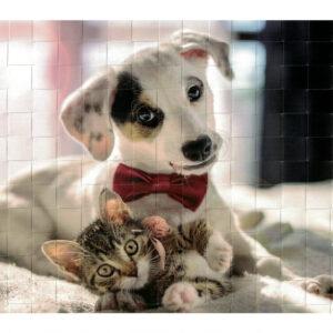 Webbild Bastelset - Hunde – Bild 4