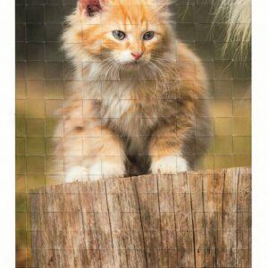 Webbild Bastelset - Katzen – Bild 4