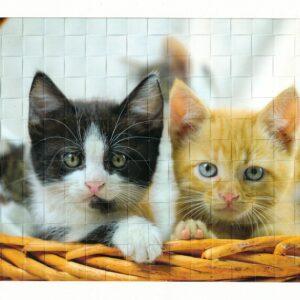 Webbild Bastelset - Katzen – Bild 3