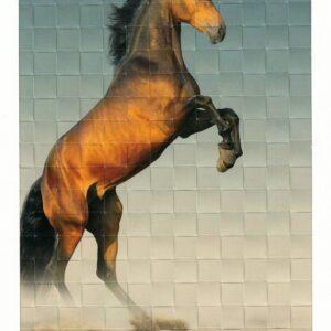 Webbild Bastelset - Pferde – Bild 4