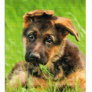 Webbild Bastelset - Hunde – Bild 5