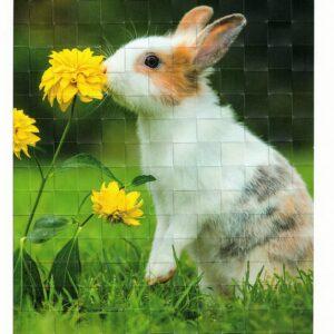 Webbild Bastelset - Hasen – Bild 5