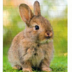 Webbild Bastelset - Hasen – Bild 3